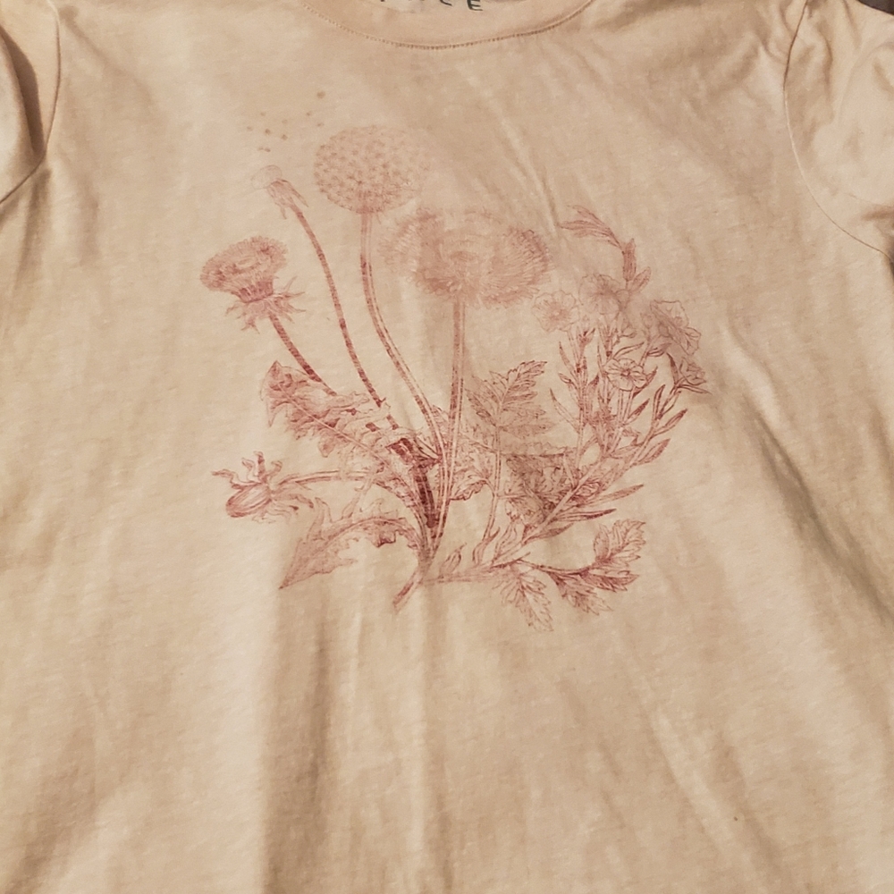 T shirt would fit like a small